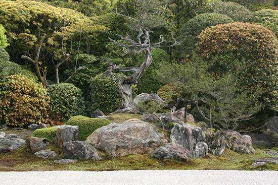 南禅寺 金地院ー鶴亀の庭